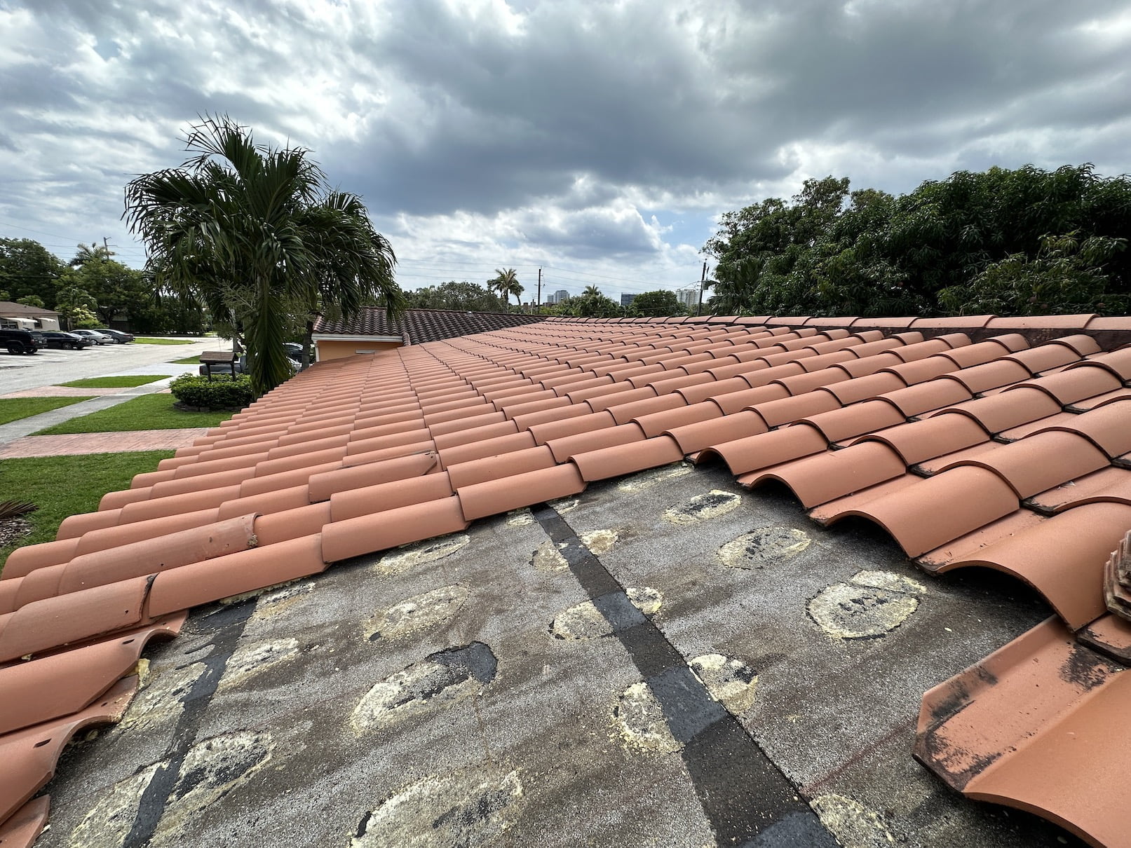 Tile Roof Repair Dania Beach 3263